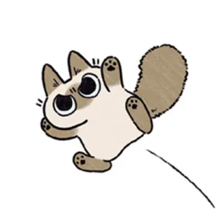 😠 c8bab589 kucing, lucu, hewan, kartun, siam telegram sticker