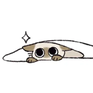 🤩 ca1a90aa kucing, imut, binatang, kawaii telegram sticker