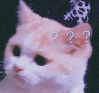 🐈 489b1663 ??? 고양이, 물음표, 혼란스러움, 동물, 귀여운, 애완 동물 whatsapp sticker