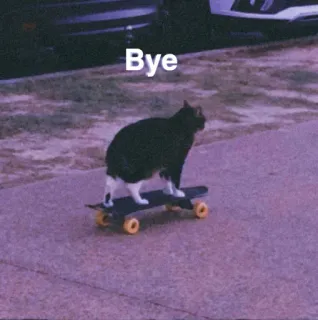 🐈 655956df Bye 고양이, 스케이트보드, 동물, 애완 동물, 유머, 작별, 웃긴, 스케이트보드 whatsapp sticker