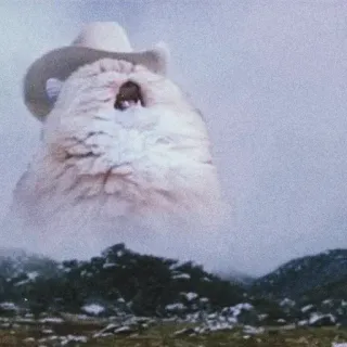 🐈 c9846535 동물, 폭신한, 구름, 풍경, 모자, 서부극 whatsapp sticker