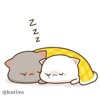 😴 cc2a7a9a @hotlve chats, dormir, mignon, animaux, dessin animé, kawaii telegram sticker