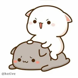 😕 f0e80440 @hotlve chat, mignon, dessin animé, kawaii, Peachcat, en colère telegram sticker