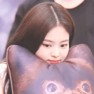 🌧 27cd68f4 mulher, almofada, gato, retrato, pessoa, fofo whatsapp sticker