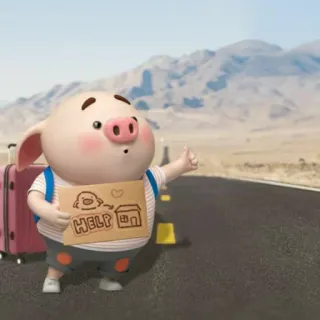 🐷 31b91fa5 HELP pig, hitchhiking, travel, help, cartoon, animal, suitcase whatsapp sticker