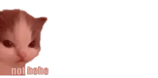 😡 1c2998b3 not hehe 猫, ミーム, 面白い whatsapp sticker