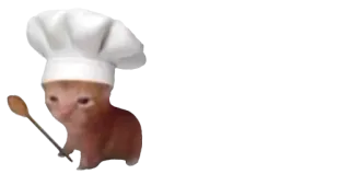 ❤️ 25148c38 猫, シェフ, 料理, 子猫, 食べ物 whatsapp sticker