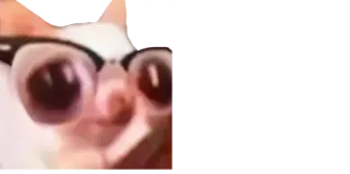 🤓 47a694b2 whatsapp sticker