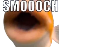 💋 48f68064 SMOOOCH キス, 魚, ミーム, 投げキッス whatsapp sticker