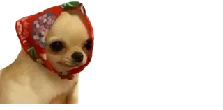 bbys telegram stickers