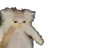 😶 755897a9 whatsapp sticker