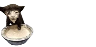 😩 94bf5354 whatsapp sticker