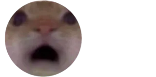 bbys telegram stickers