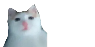 😐 ba0260fd 猫, ミーム, 動物, 面白い whatsapp sticker