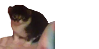 ☹️ be467c43 whatsapp sticker