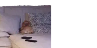 🥺 cc4c127e whatsapp sticker