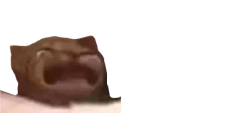 😭 dac9a731 whatsapp sticker