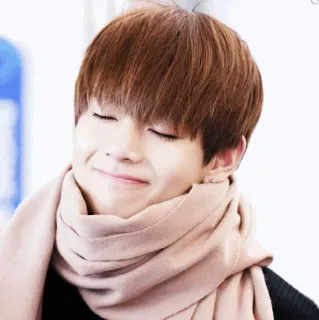 😊 9822f9bb telegram sticker