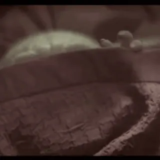 🥺 2be7c29a whatsapp sticker