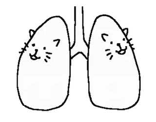 Abnormal cats @RekcitsEnilbot telegram stickers