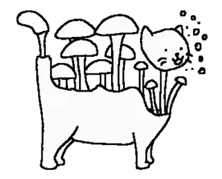 😆 868ddb3d kot, grzyby, fantasy, naklejka, zwierzę, natura telegram sticker