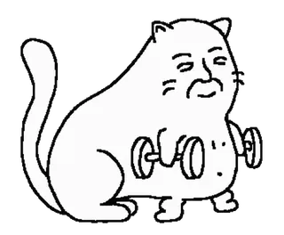 😄 dfa186a7 kot, ćwiczenia, hantle, trening, podnoszenie ciężarów, śmieszne telegram sticker