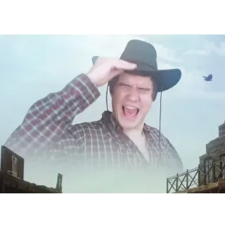 😤 e28ffb17 cowboy, western, hat, man telegram sticker