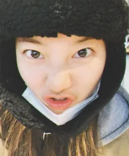 🐶 8716971d telegram sticker