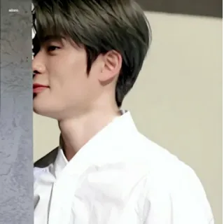 🦅 268b3b93 telegram sticker