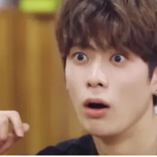 🦅 9b383290 telegram sticker