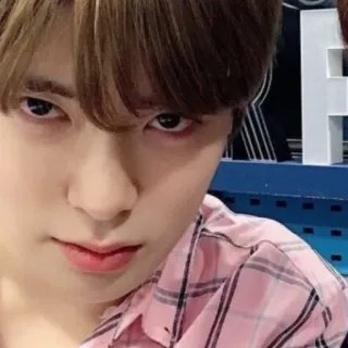 🦅 ad2b03a5 telegram sticker