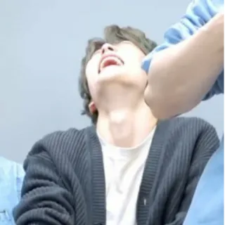 🦅 f283346d telegram sticker