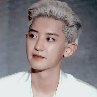 🏹 6b513494 Chanyeol K-pop, Chanteur, Idole, EXO, Célébrité, Homme, Personne telegram sticker