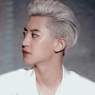 🏹 98307779 personne, portrait, homme, cheveux blancs, homme, gros plan telegram sticker