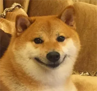 balltze telegram stickers