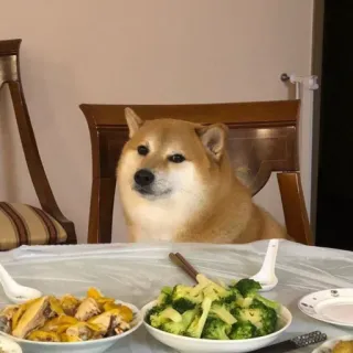 🏷 2485af68 hond, shiba inu, eten, diner, meme, tafel telegram sticker
