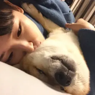 🏷 72bba491 hond, persoon, slapen, schattig, dier, huisdier, portret, vriendschap telegram sticker