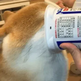 Balltze whatsapp stickers