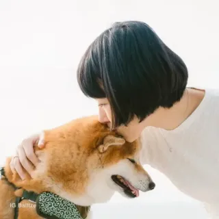 🏷 f9342afe IG Baitze hond, persoon, knuffel, affectie telegram sticker