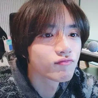 🌟 0f5940ce ポートレート, 男性, 人, 歌手, マイク telegram sticker