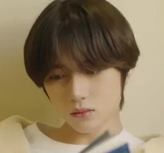 🌟 b0e2bb5a telegram sticker