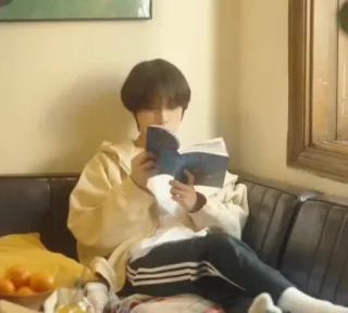 🌟 bf2e697a 男性, 読書, 本, ソファ, 屋内 telegram sticker