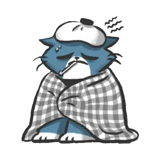 Bandit the cat telegram stickers