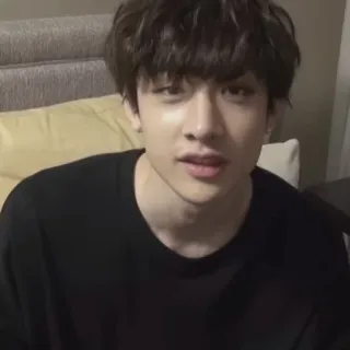 🧸 8441a569 telegram sticker