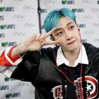 🧸 9e050e04 Bang Chan Kpop, Stray Kids, Bang Chan, celebrità, cantante, segno di pace telegram sticker