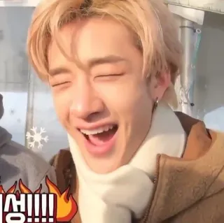 🧸 e5b35a10 개쉥!!! kpop, idol, straykids, bangchan, meme, divertente telegram sticker