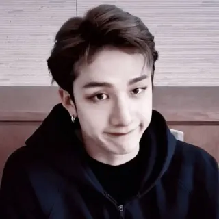 🌟 c71d9cdc portrait, man, asian, korean, hoodie, expression, earrings telegram sticker