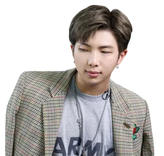 🤨 38564cad RM ARMY kpop, musik, idol, rm, army, penyanyi telegram sticker