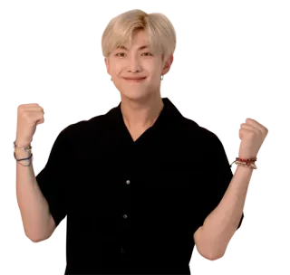 ✊ 6dcad2d1 RM RM, BTS, K-Pop, Idola, Penyanyi, Penampil telegram sticker