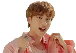 😊 b096a96a Jin K-pop, penyanyi, musisi, BTS, idola telegram sticker